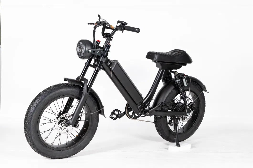 The Cheapest Electric Bicycle Selling 20ah Lithium Battery Adult Electric Bike