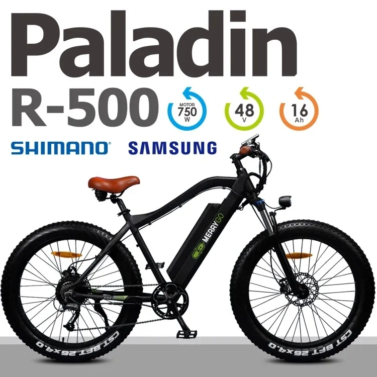 Long Range 60km Bicycle Electric Bike 750W Us Fat Tire Electric Mountain Bike with Battery