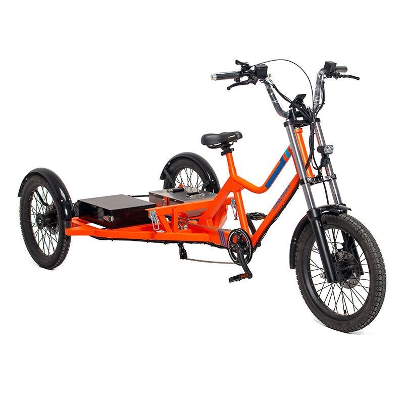 7 Speed High Power Three Wheels Cargo Tricycle Electric Bike with Cargo Box