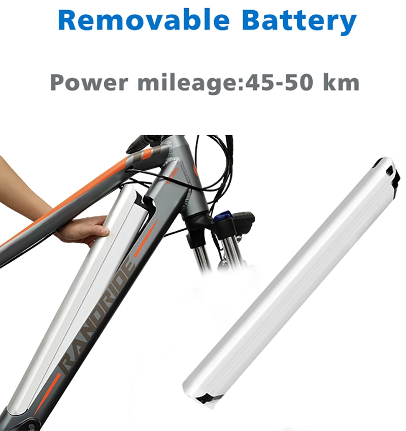 Snow Electric Bicycle Electric Bike 750W Motor Ebike Aluminium Alloy