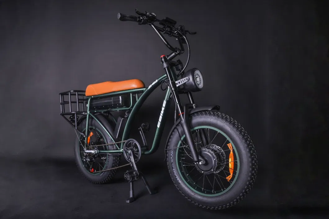 Hot Sale Electric Bicycle 1000W High Speed High Power Electric Motorcycle with Cheaper Price