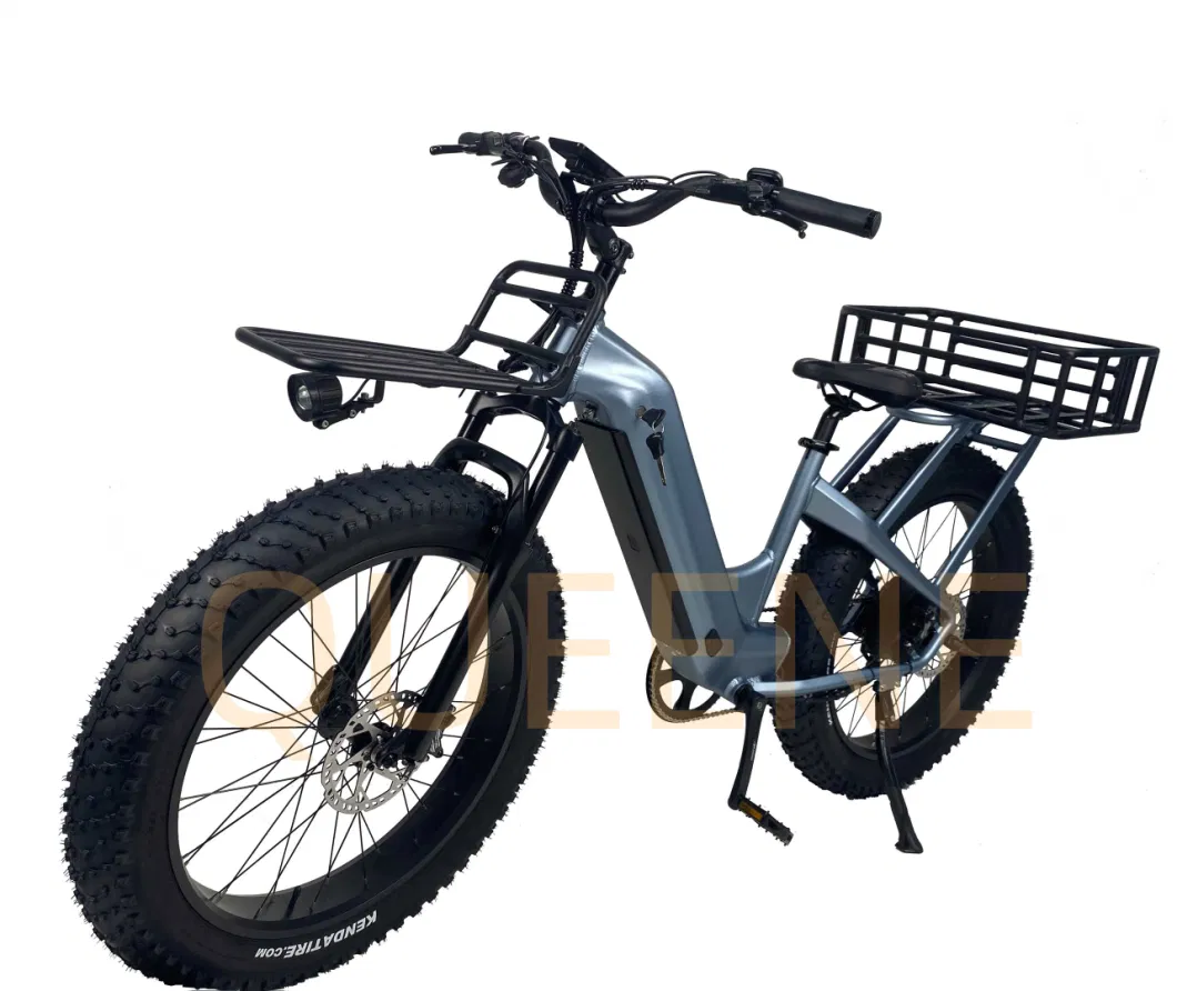 Queene/New Arrival Top Selling Retro Electric Bicycle 750W 500W Bafang Motor Vintage Ebike CE/En15194