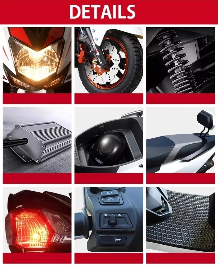 Support Custom Electric Motorcycle 60V 800W 20ah Lead Acid Battery Pedal Assisted Electric Scooter Electric Motorcycle