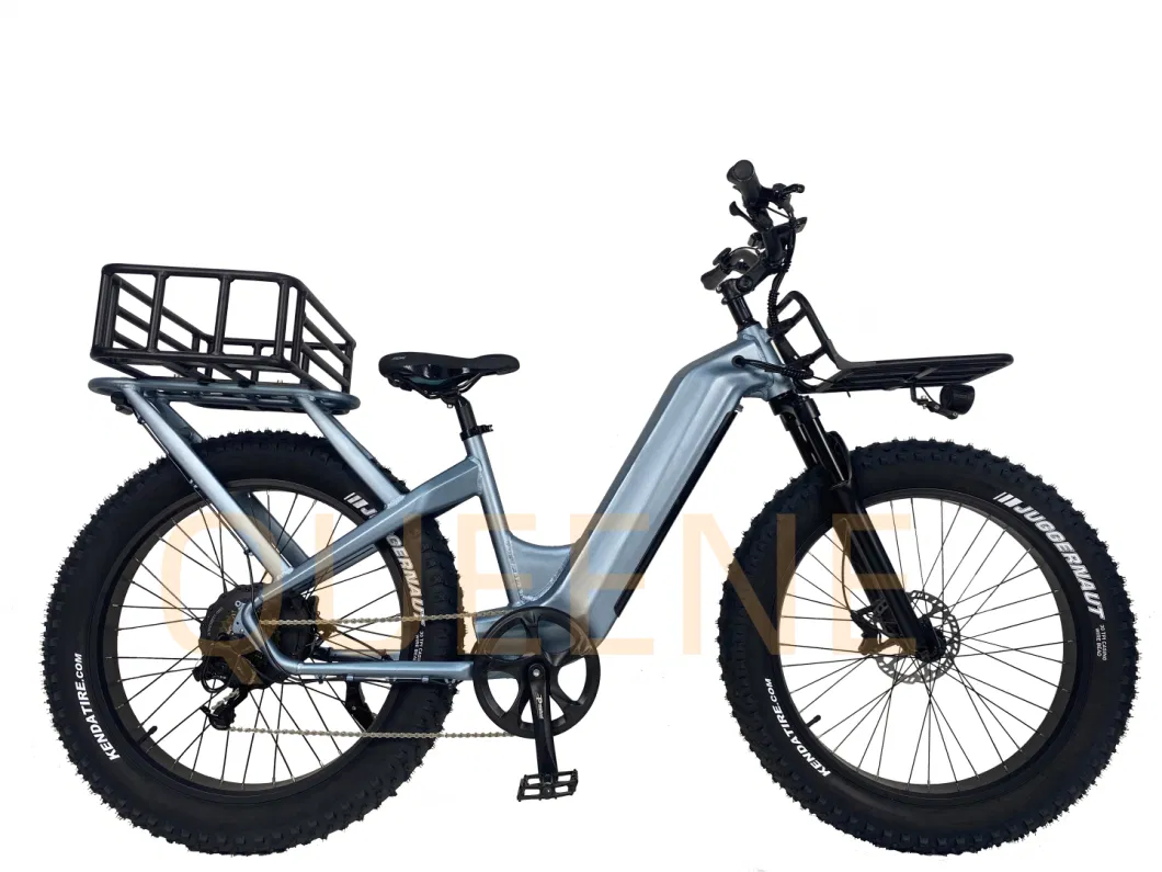 Queene/New Arrival Top Selling Retro Electric Bicycle 750W 500W Bafang Motor Vintage Ebike CE/En15194