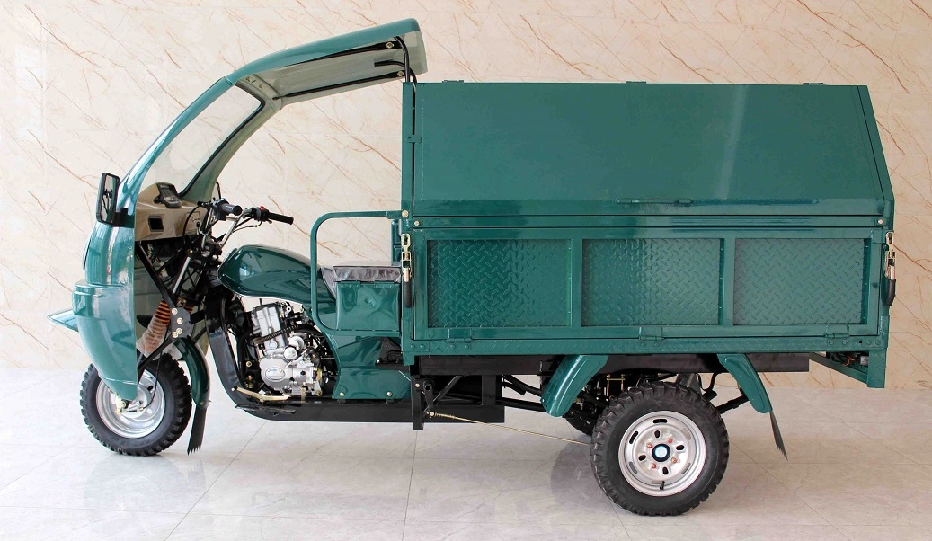 Electric Cargo Loader Tricycle Auto Rickshaw Passenger Three Wheel Motorcycle