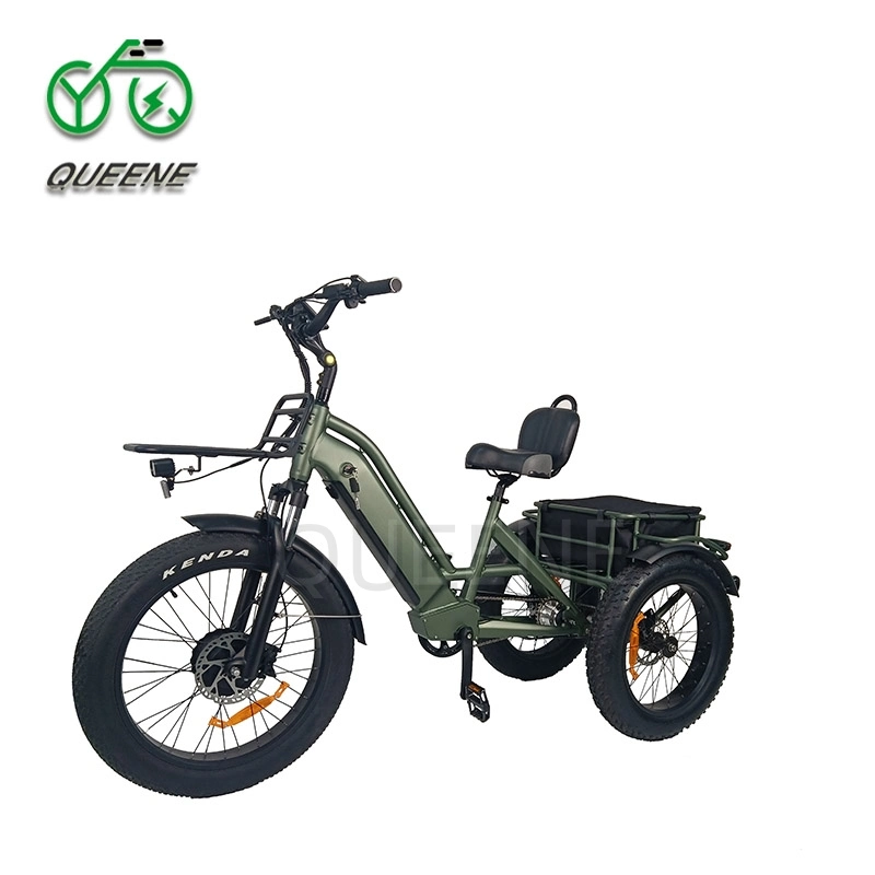 Queene 3 Wheel Electric Bicycle Mountain or Road Tire Electric Trike 20inch Three Wheel Electric Bike