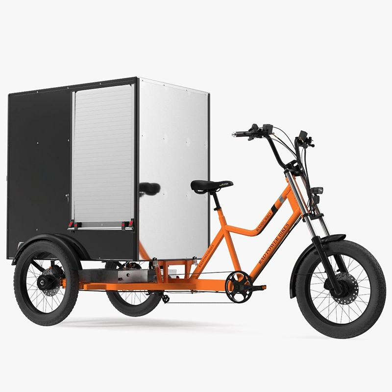 7 Speed High Power Three Wheels Cargo Tricycle Electric Bike with Cargo Box