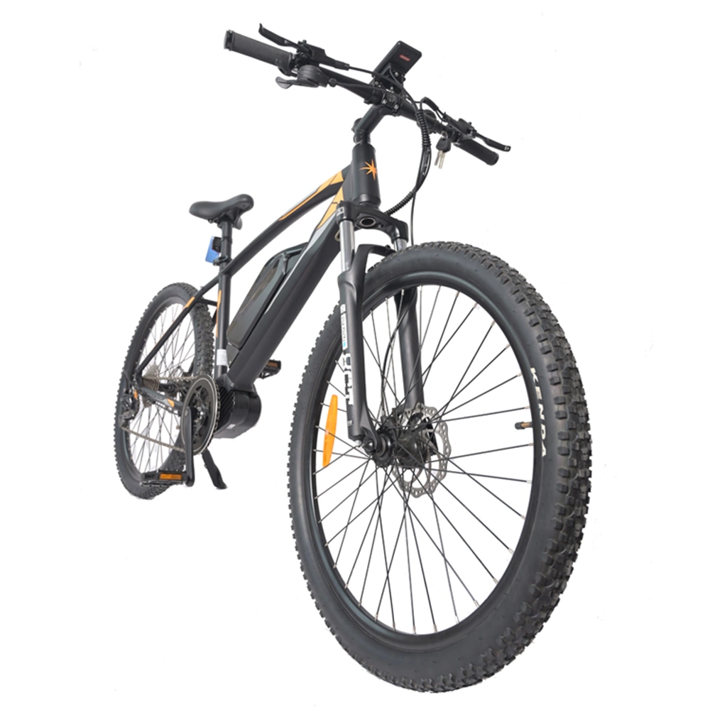 Electric Bike 48V Mountain/Electric Bike 60kmh Speed/Electric Bike Carbon 29&quot;