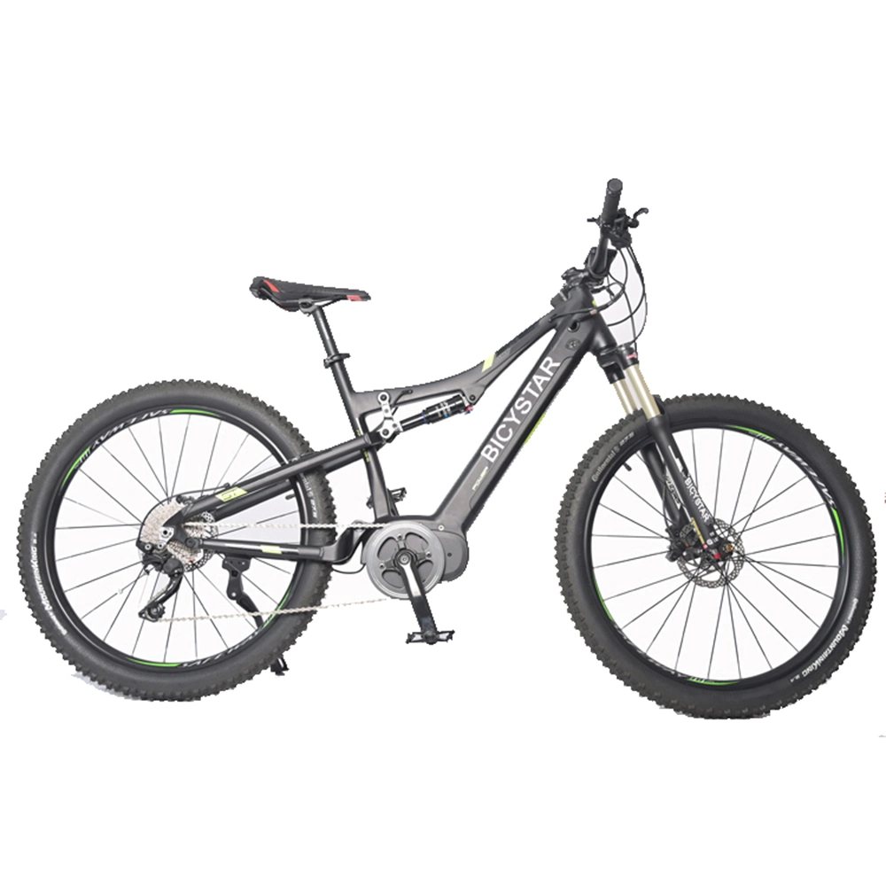 Supplier China Bike Electricthe Best 2023 Electric Bike Fat with Logothe Electric Bicyclethe Electric Bike