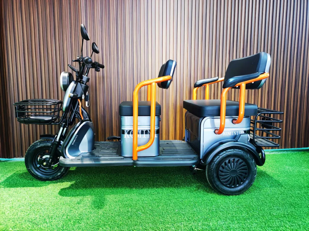 Chinese Factory Leisure Tricycle with Electric Three Wheels