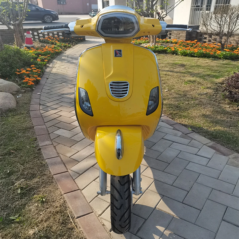 2023 Electric Motorcycle / Electric Scooter Big Power Electric Scooter with Good Price with Lithium Battery