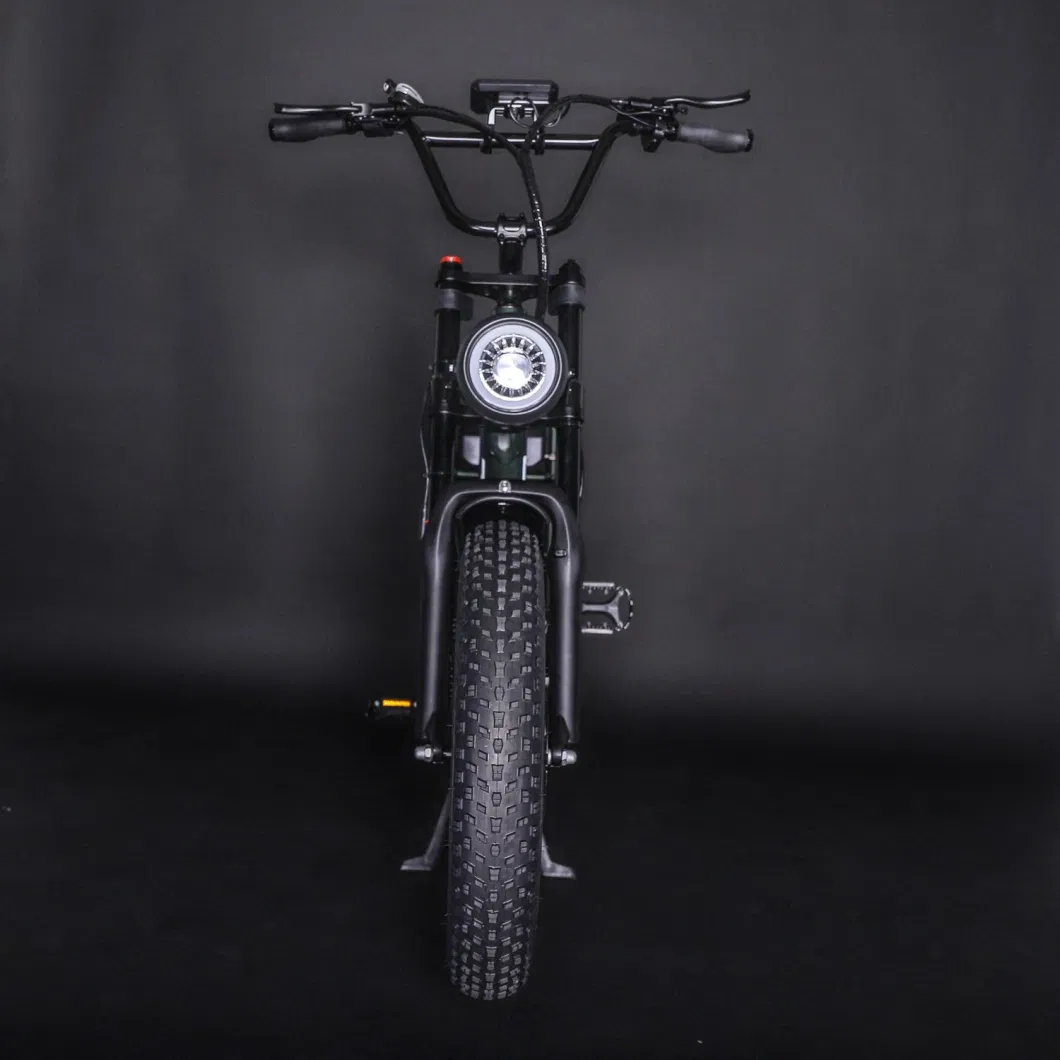 Urban Leisure Electric Scooter Moped Electric Bicycle