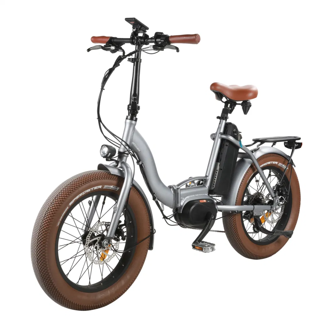 48V 350W Middle Drive Cheap Electric Bike Adult Sharing 20 Inch Ebike for Sale