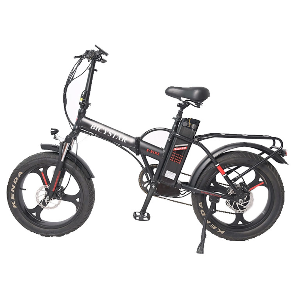 Popular Lightweight 20 Inch 4.0 Tire 250W Snow Beach Folding E Fat Bike Electric Bicycle