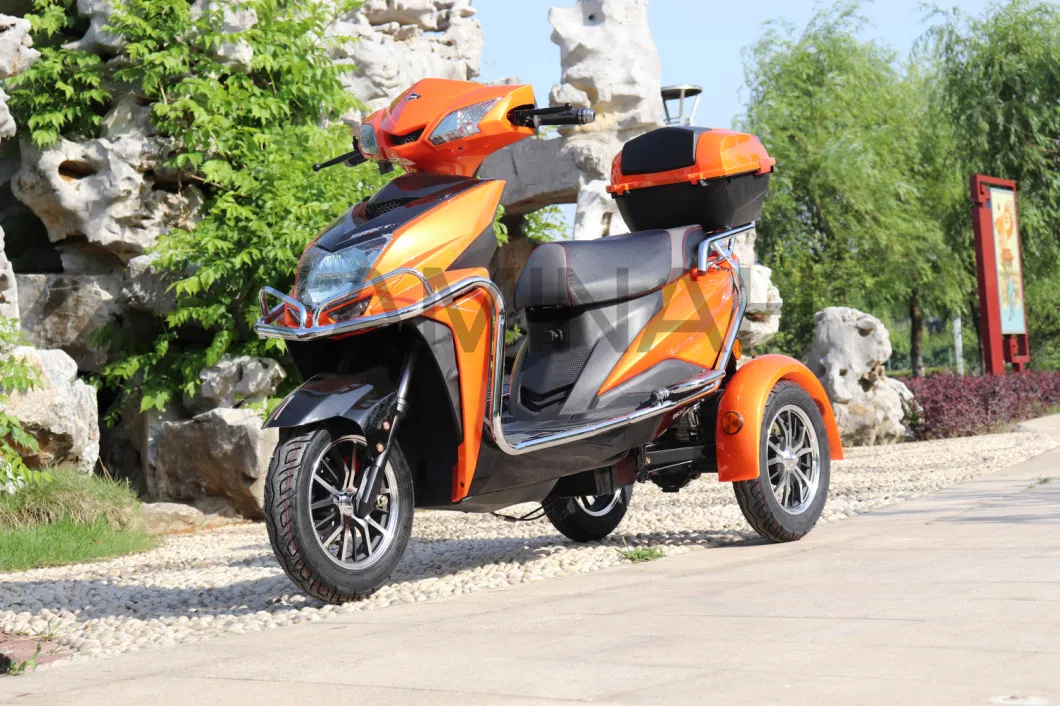 Cargo 3wheels Vehicle Electric Motorcycle Three Wheels Electric Scooter for Passanger SL