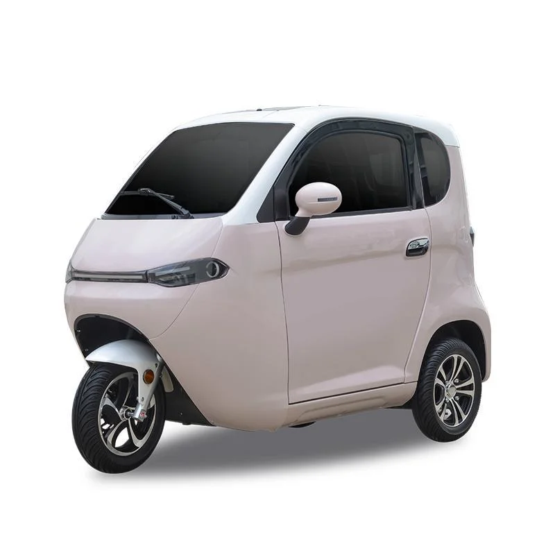 EEC L2e Approval 2seater 3 Wheel Tricycle Electric Trike Passenger Tricycle for Adults