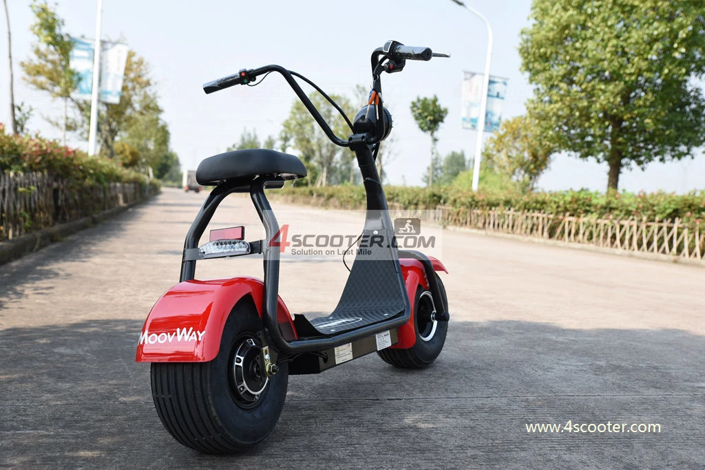 New Type 2 Wheel Electric Scooter 500W 1000W on Sales Promotion 2013 Electric Bicycle