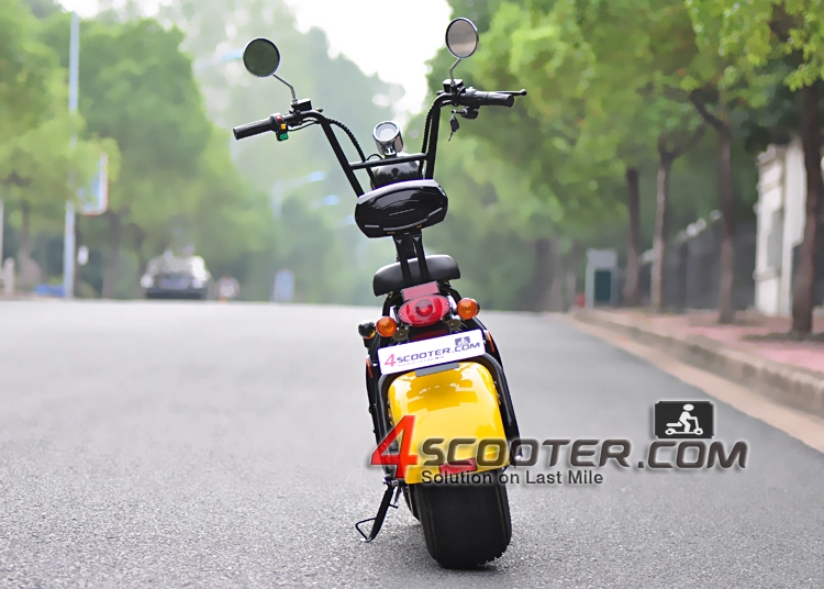 Powerful High Speed Practical Delivery 2 Wheel Bicycle Citycoco Moped Electric Scooter