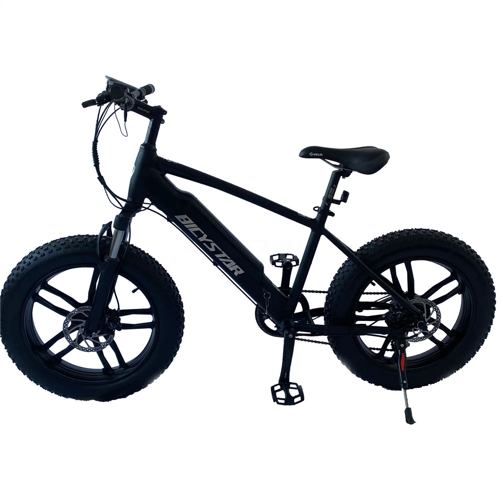 Ecycle Electric Bicycle Ebike Bike Electric Bikes 500W Electric Bicycle Fat Bike