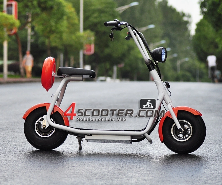 New Type 2 Wheel Electric Scooter 500W 1000W on Sales Promotion 2013 Electric Bicycle