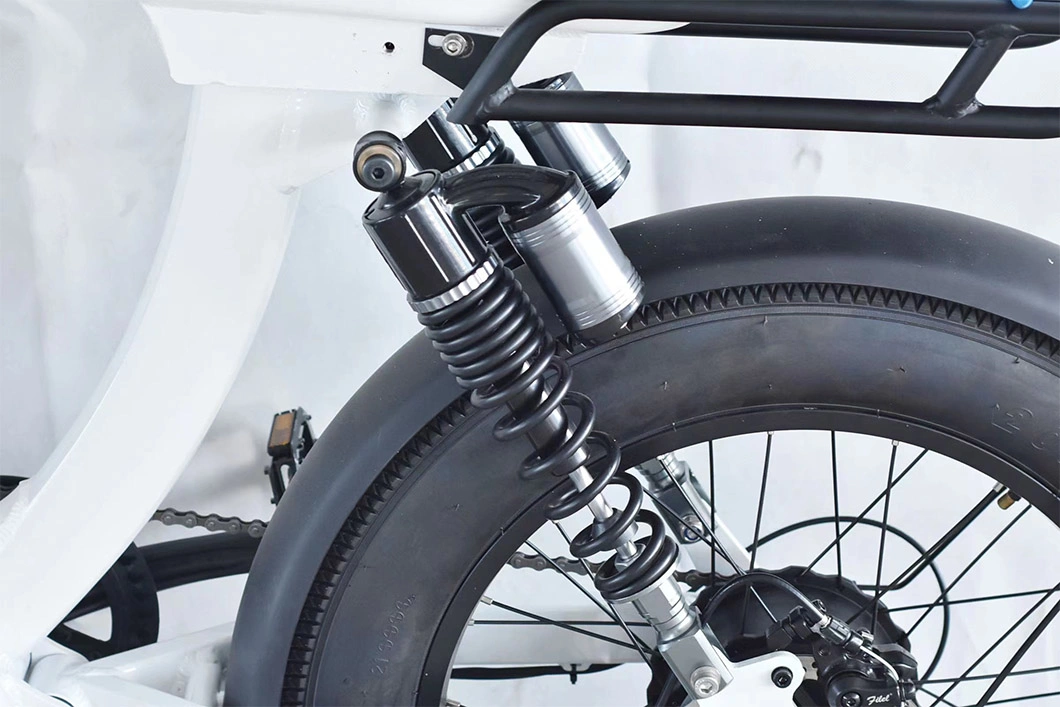 Freedom Electric Bike/Electric Cycle/Ebike/Mountain Bike