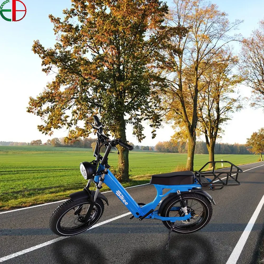 Eb Factory Wholesale Electric Scooter Delivery Adult Electric Motorcycle Takeaway with Pedal