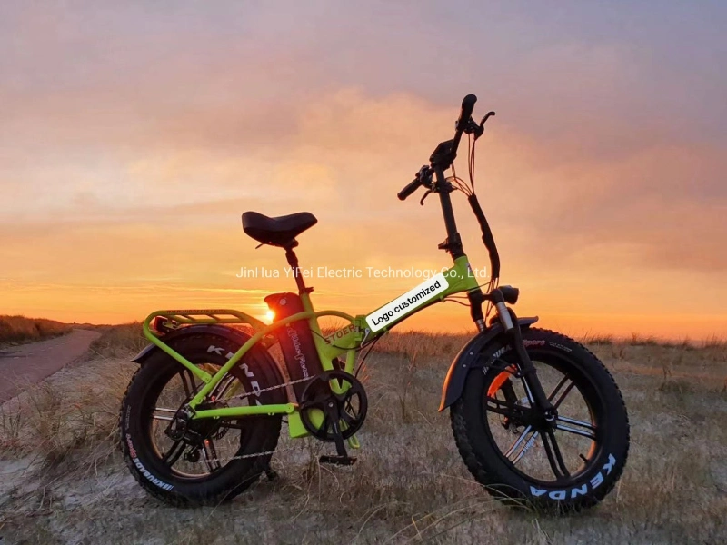 Suspension 20&quot; Fork Electric Fat Bike Folding Aluminium Frame Electric Bicycle