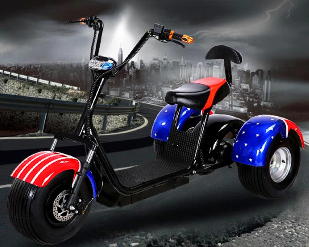 Hot Selling Adult Three Wheel Bicycle Lithium Battery 20ah Scooter Citycoco Electric