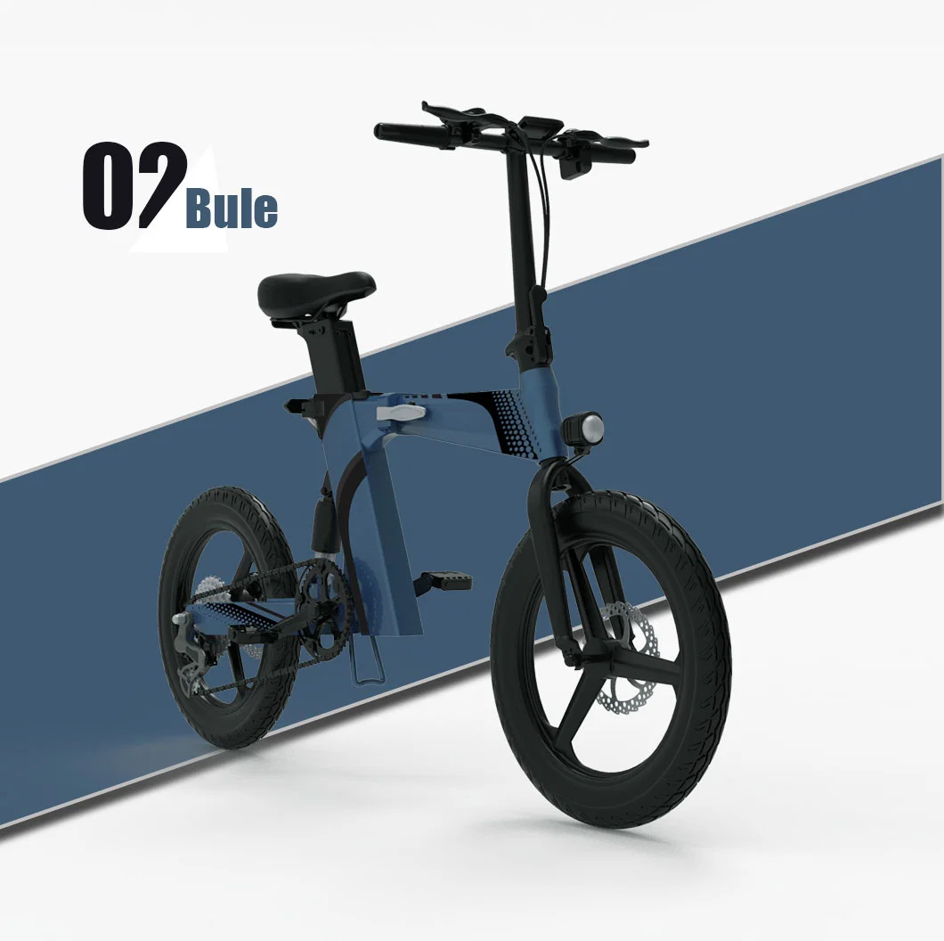 ODM/OEM for Women/Men 16ah Electric Bike Electric Folding Bike