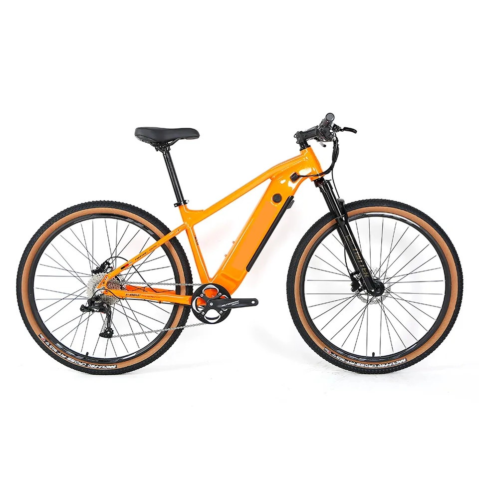 Hidden Battery Mountain Electric Bicycle 350W 500W Electric Bike