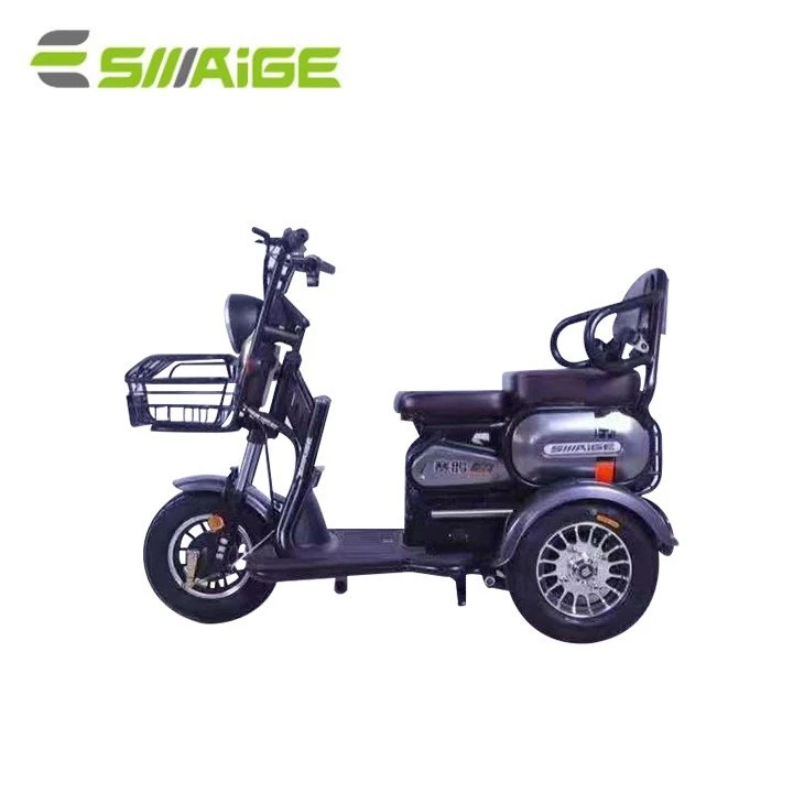Saige Three Wheel Electric Leisure Bicycle for Disable 3 Wheel Electric Bike