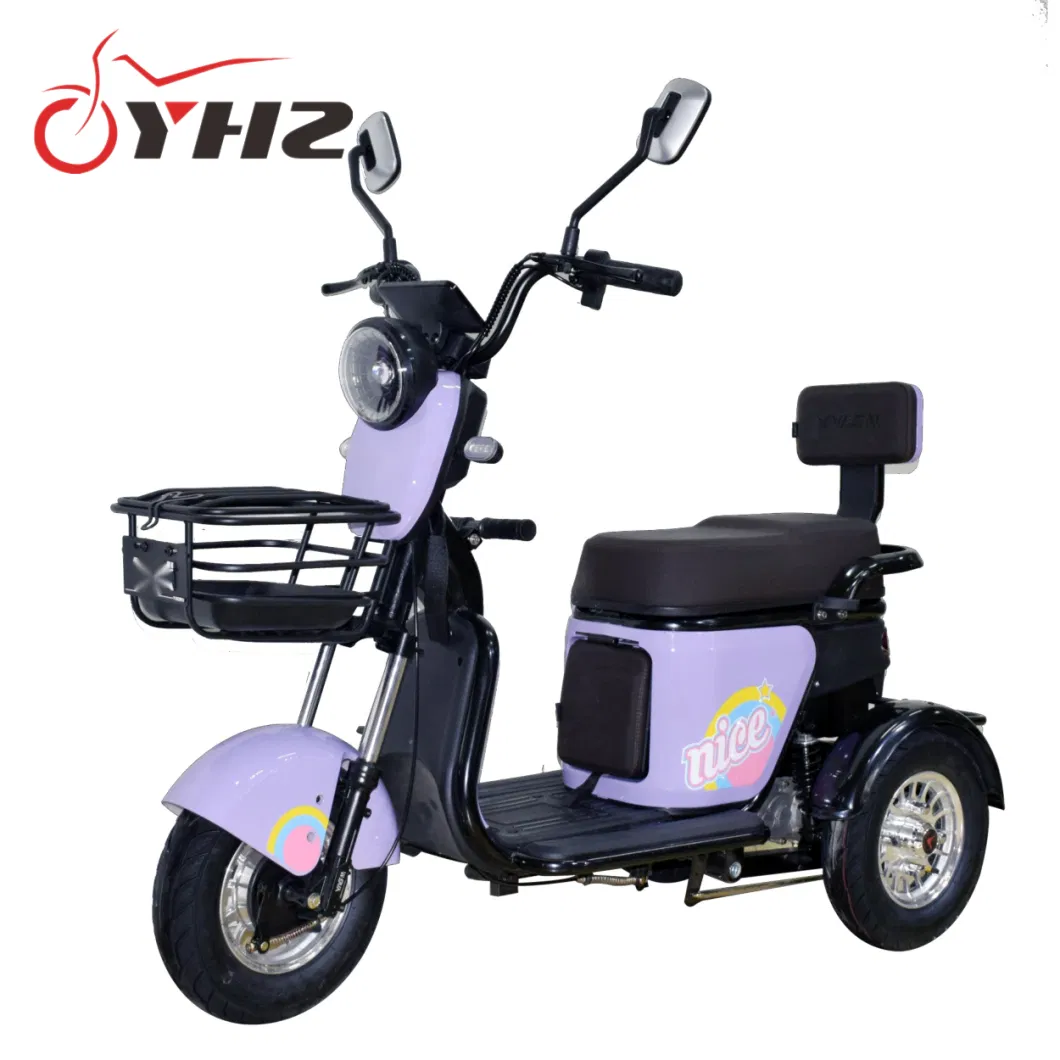 Mini Three-Wheel Electric Scooter Moped Dirt Bike 48V/60V 600W Motor