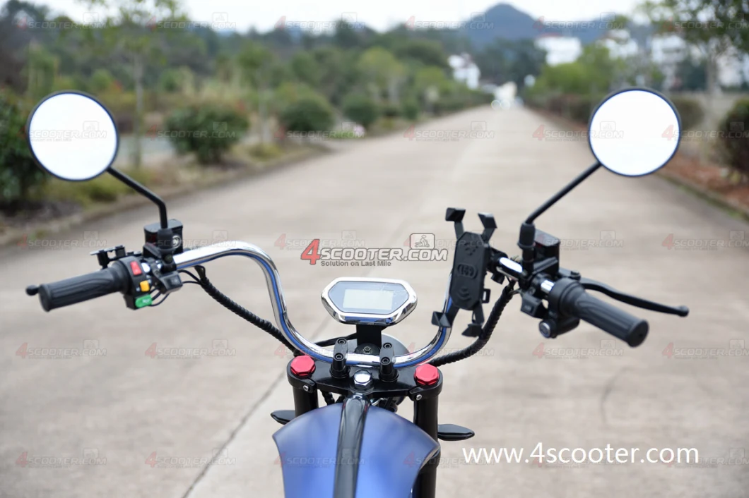 EEC 4000W 5000W Dual Match Citycoco Chopper Trike Scooter Three Wheel Electric Motorcycle