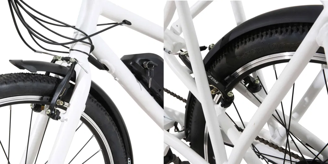 7 Speed Pedal Assist PAS Cargo Electric Bike Aluminum Frame