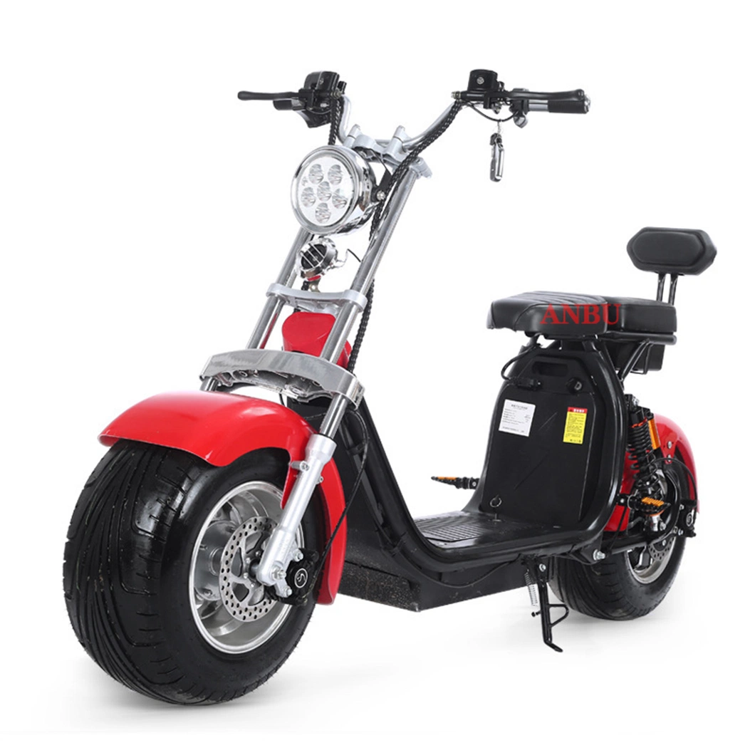1500 W Electric Scooter Two Wheels Electric Bike for Adults Adult Made in China Electric Scooter
