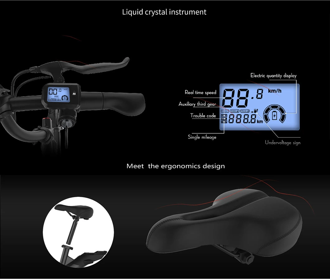 High-Carbon Steel City Bike 350W Electric Folding Bike