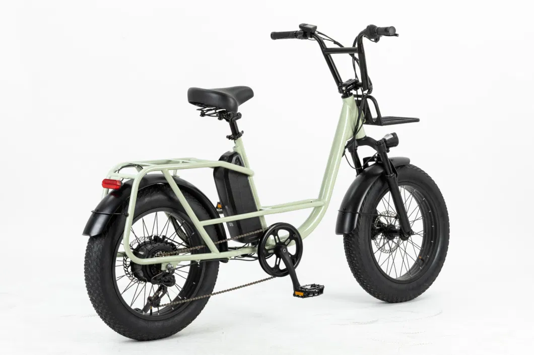 Galaxy E Bikes 2023 Electric Bicycle 750W Rear Drive Cargo Ebike