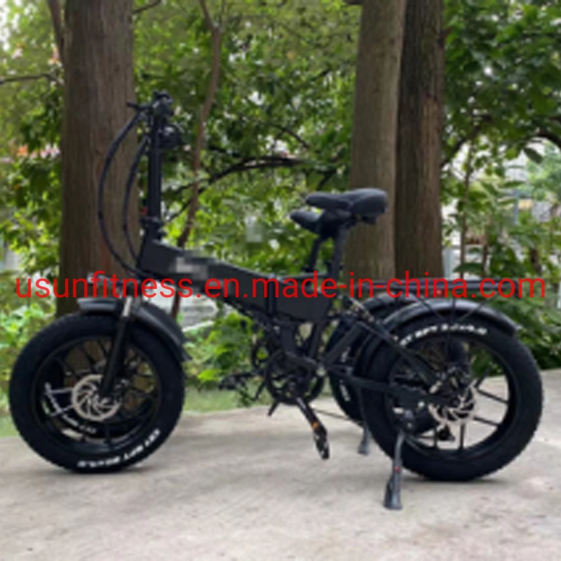 Wholesale Aluminum Alloy Fat Tire Electric Bike Electric Bicycle Mountain Electric Bike with Lithium Battery