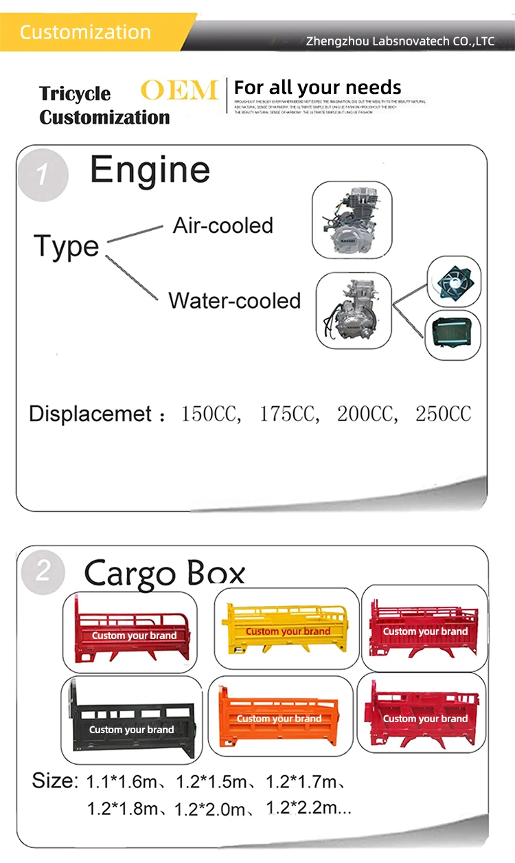 EU Hot Selling EEC Electric Tricycles 3 Wheel Electric Cargo Bike