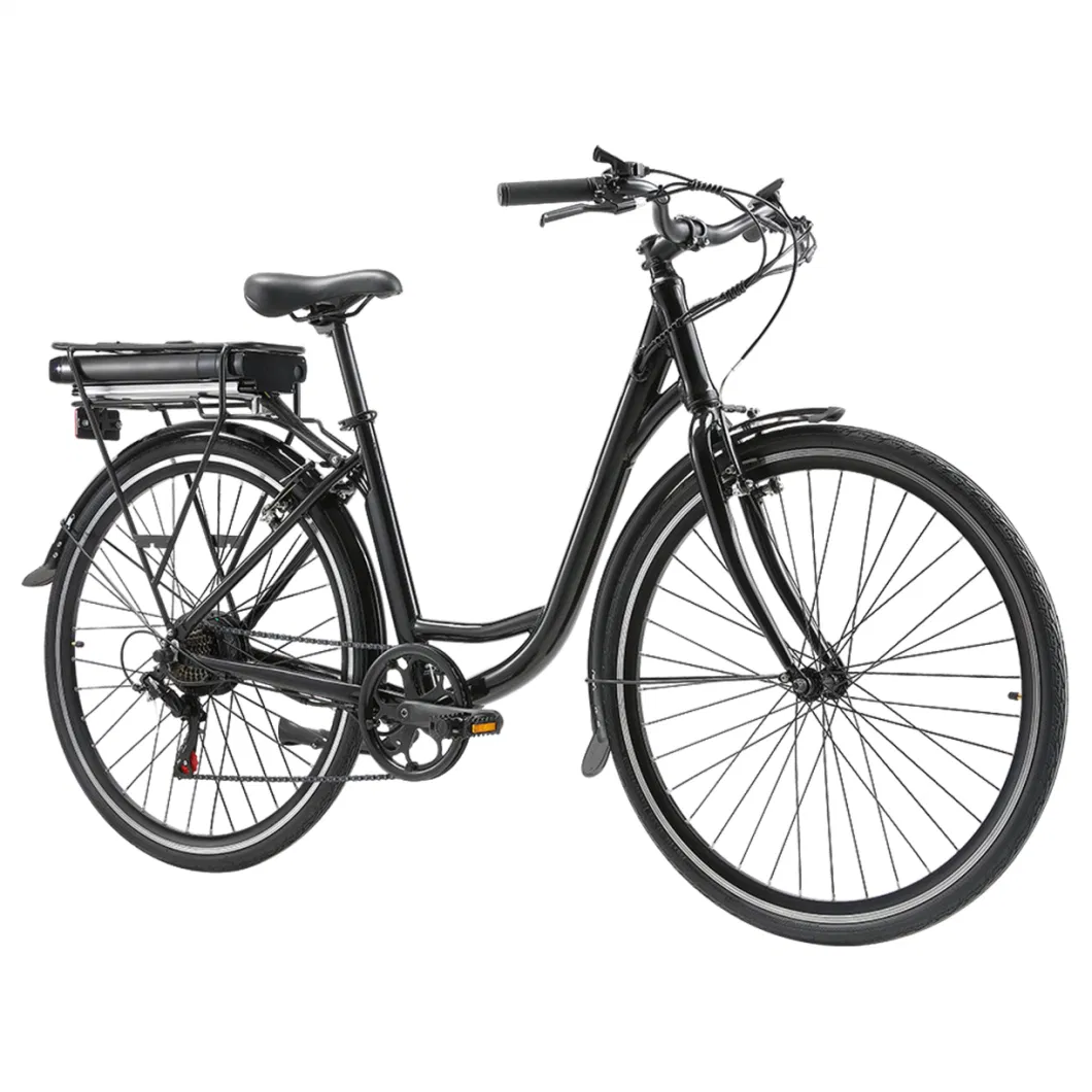 Comfortable Personalized The Effect Is Remarkable Brand New Electric Bicycle for Ladies