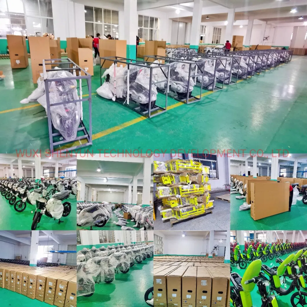 Wuxi Shenyun High Quality Electric Motorcycle 1500/3000W Electric Mobility Scooter EEC 2 Wheel E Bike