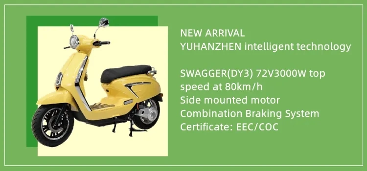 Adult 1500W 2000W Two Wheels Electric Scooter EEC Coc Big Seat New Design Motorcycle with Removable Lithium Battery 10-Inch Fat Tire Bike Road Legal