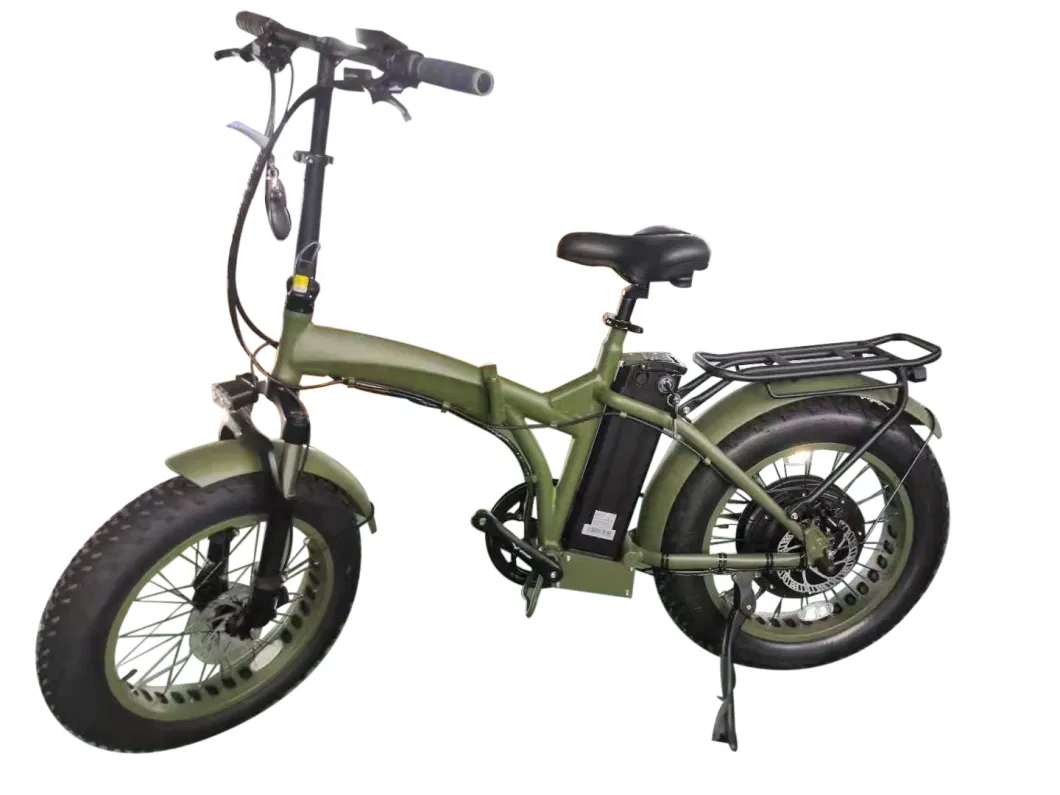 New 26 Inch Aluminum 500W Motor 11.6 Ah Battery Cycle Electric Bicycle