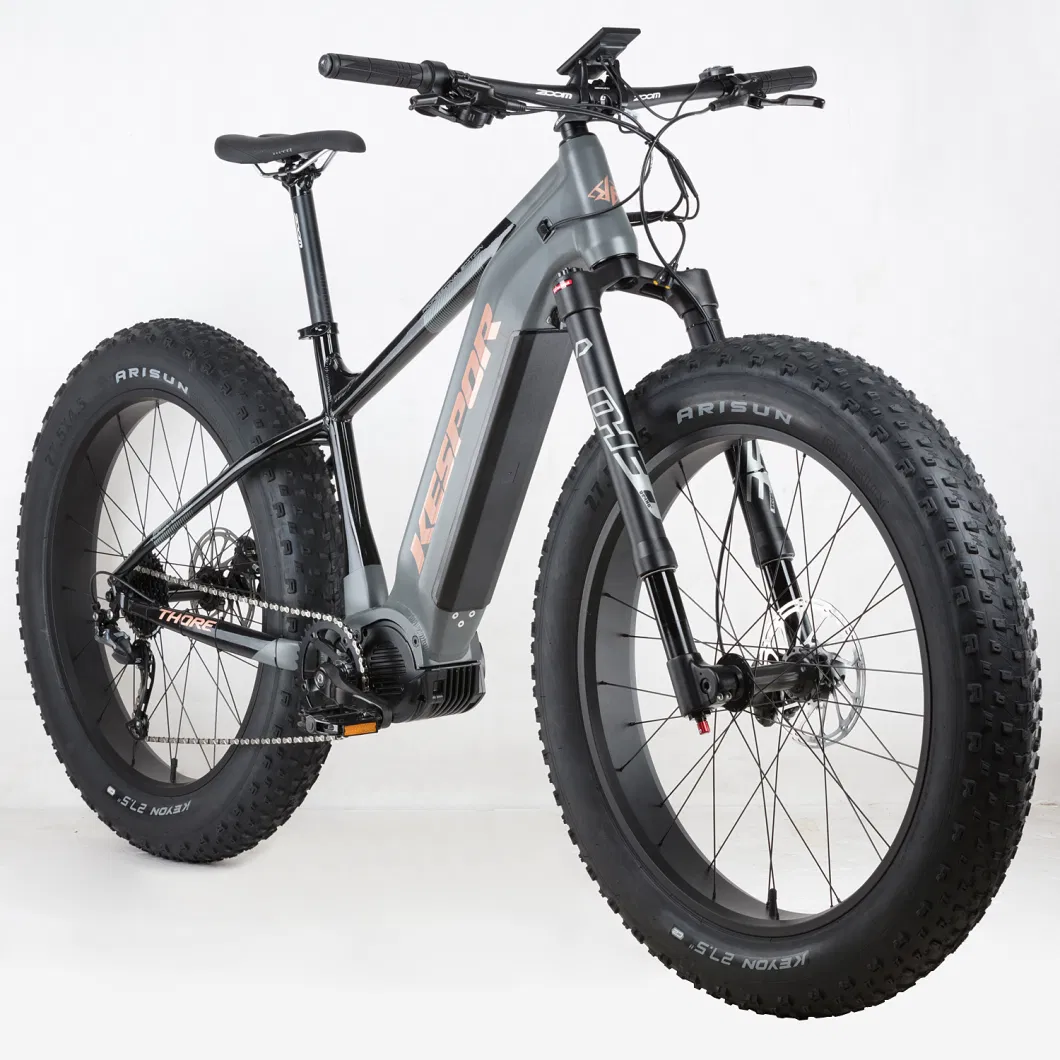 Factory Wholesale 52V 1000W Fat Tire Snow/Dirt Electric Bike Bicycle
