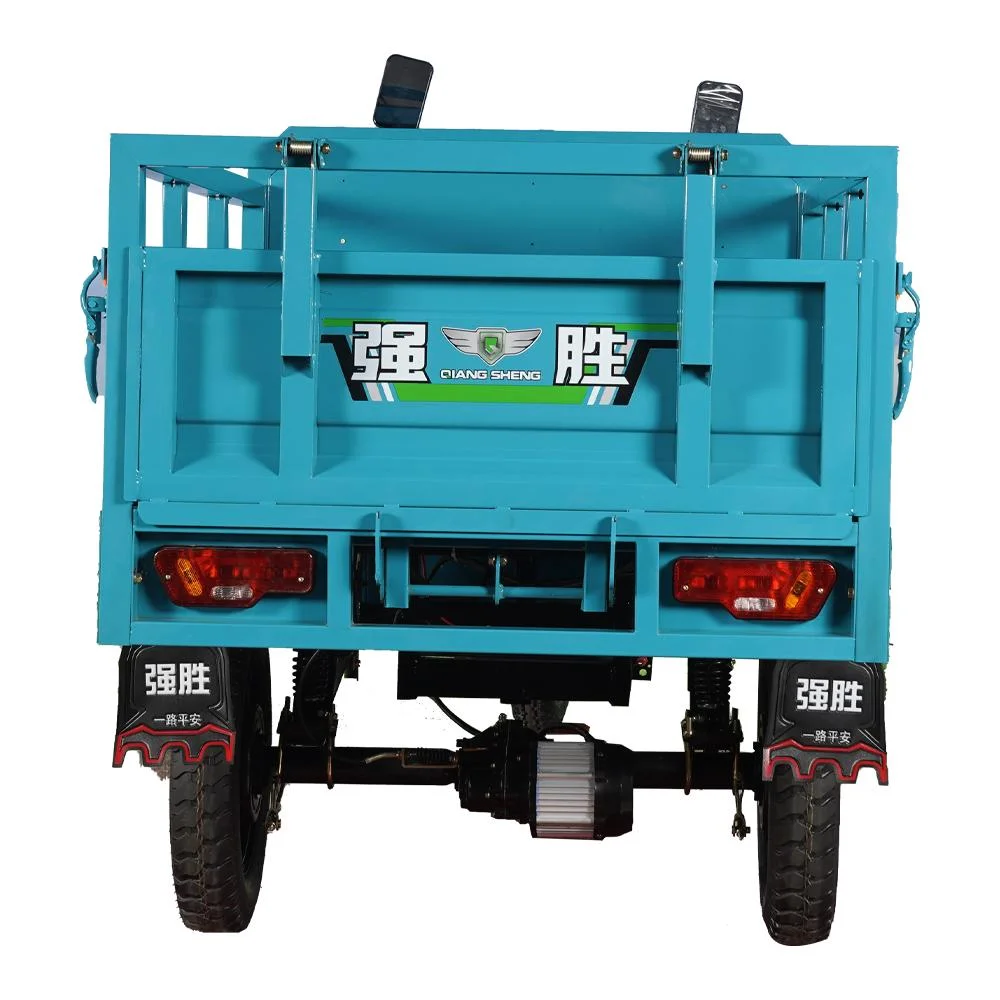 Heavy Cargo Tricycle Adult Electric E Loader Trike Electricos Three Wheel Automatic Vans