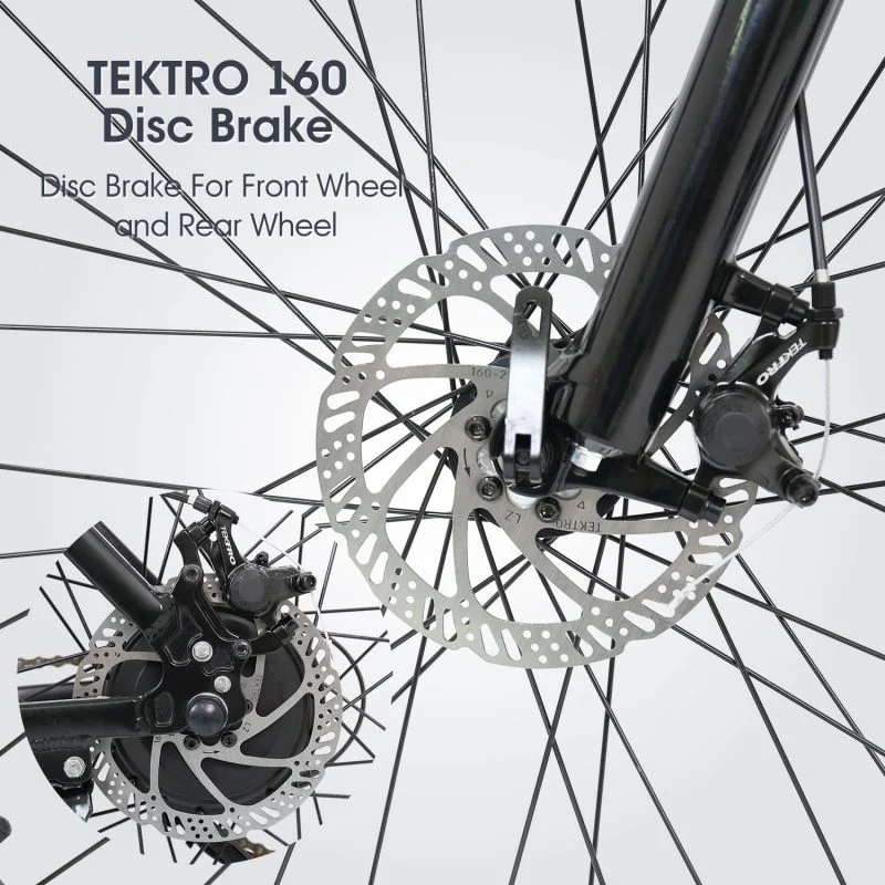 48V 500W 750W 3 Wheel Cargo Ebike Fat Tire Rear Wheel Hub Motor Electric Tricycle