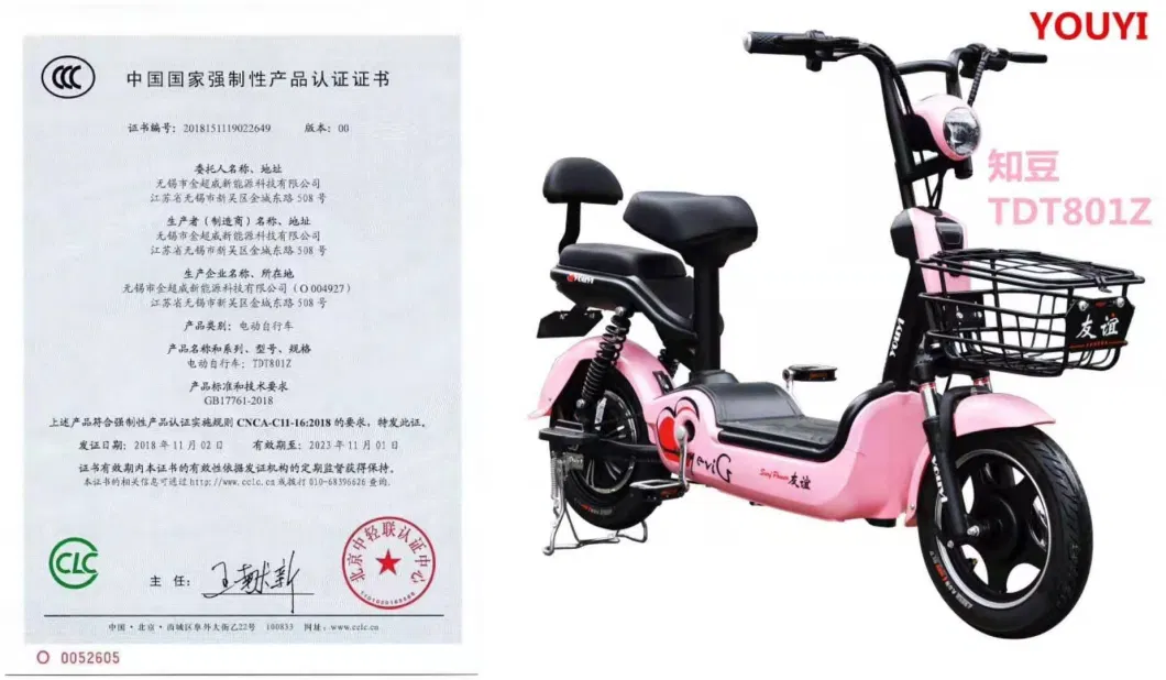 2 Wheels 48V 350-500W Adult Electro Scooter Electric Bike