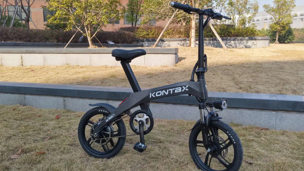 Wholesale 36V 7.8ah Folding Electric Bicycle China with Lithium Battery and Carbon Fibre Frame