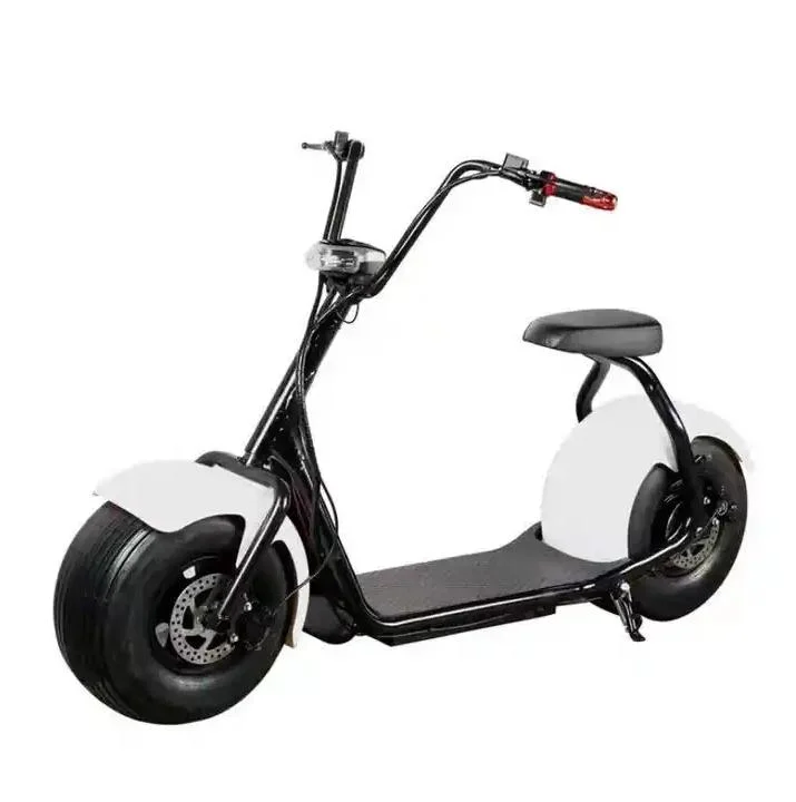 Hot Sale Electric Scooter 48/60V 20ah 2 Seats E Bike Electric Bicycle