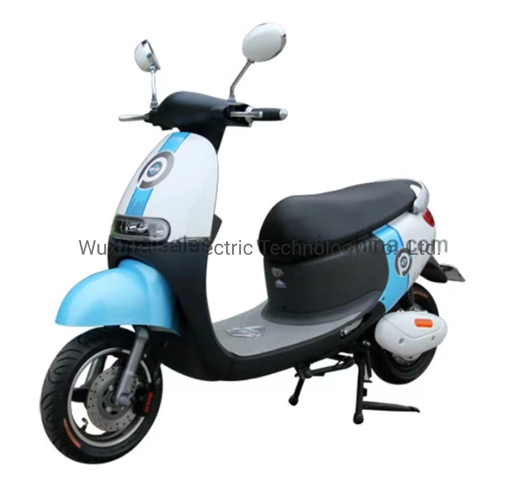 Gogo Electric Bike for Lady Use E-Scooter Long Distance